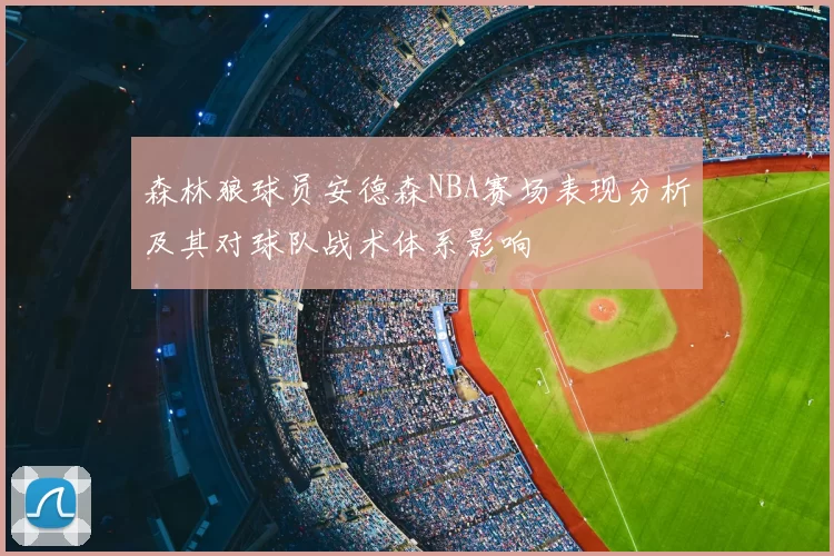 森林狼球员安德森NBA赛场表现分析及其对球队战术体系影响