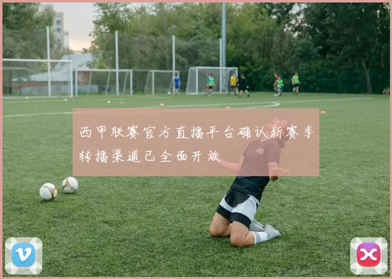 西甲联赛官方直播平台确认新赛季转播渠道已全面开放