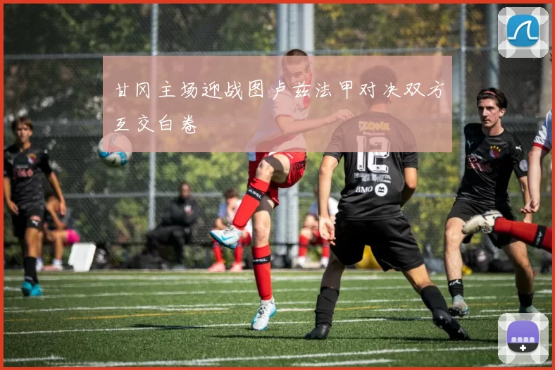 甘冈主场迎战图卢兹法甲对决双方互交白卷