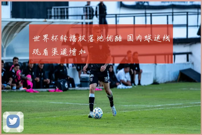世界杯转播权落地优酷 国内球迷线观看渠道增加