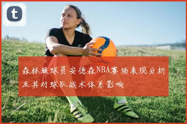 森林狼球员安德森NBA赛场表现分析及其对球队战术体系影响