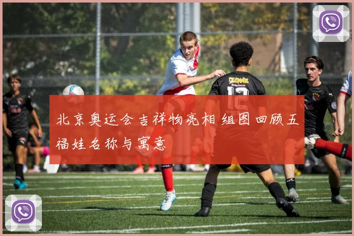 北京奥运会吉祥物亮相 组图回顾五福娃名称与寓意