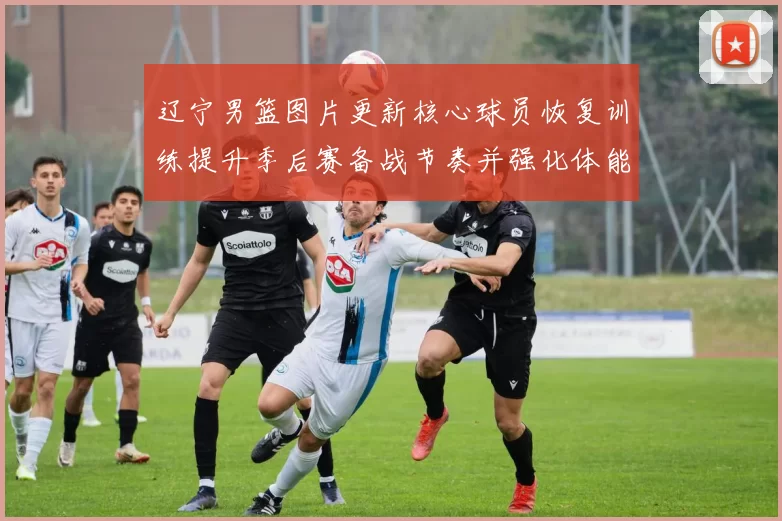 辽宁男篮图片更新核心球员恢复训练提升季后赛备战节奏并强化体能