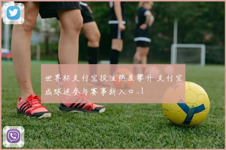 世界杯支付宝投注热度攀升 支付宝成球迷参与赛事新入口_1