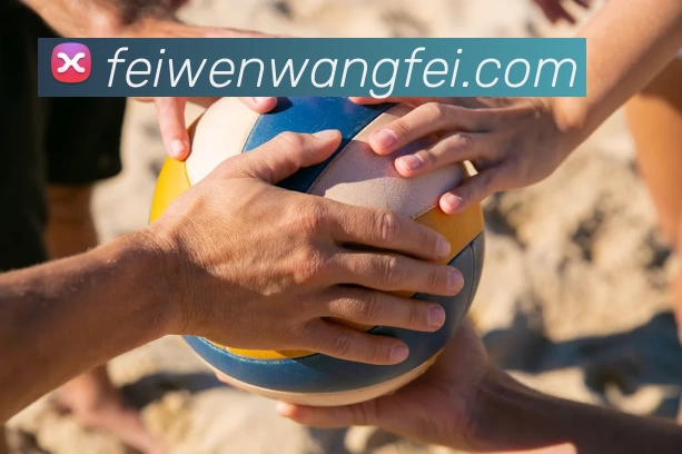 开云app登录入口 - 开云(中国)发展历程